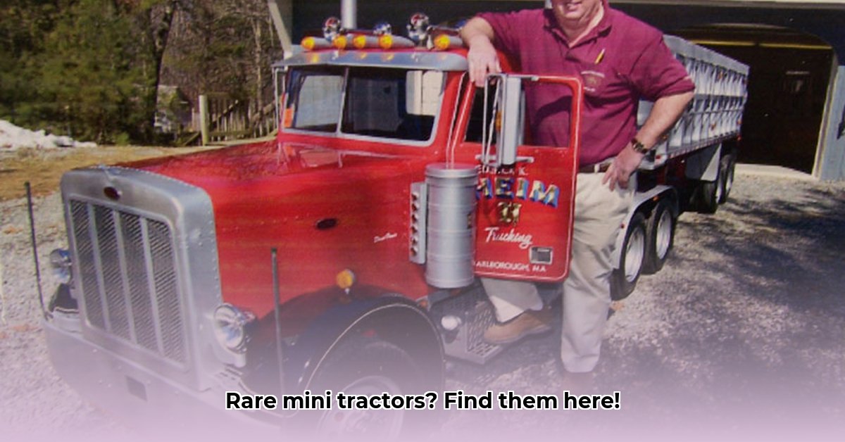 mini-tractor-truck